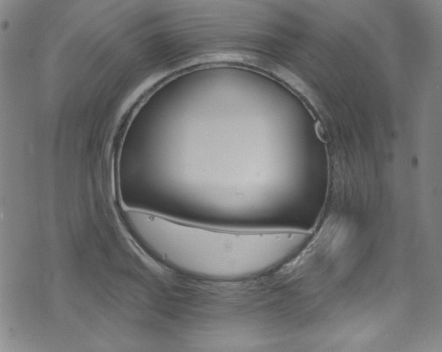 X0000072951127200607210925