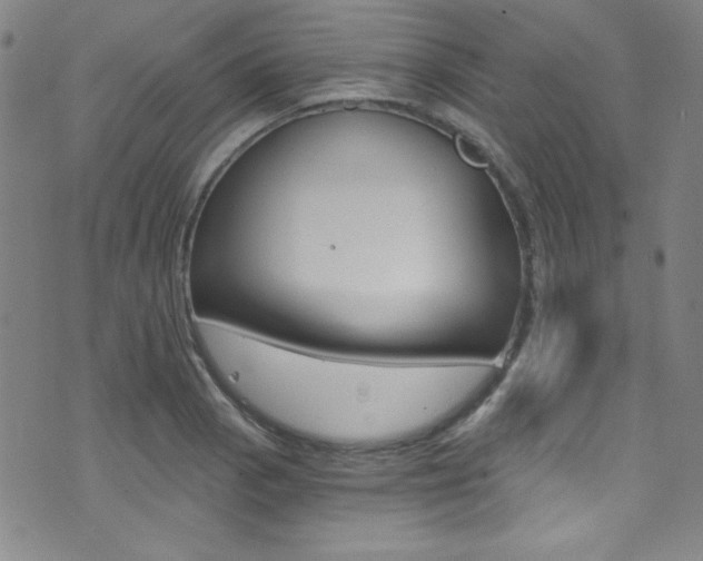 X0000072951129200607210925