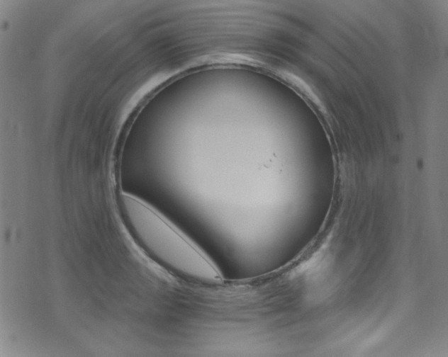 X0000072951133200607210925