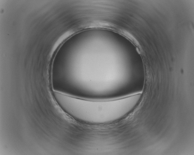 X0000072951138200607210925