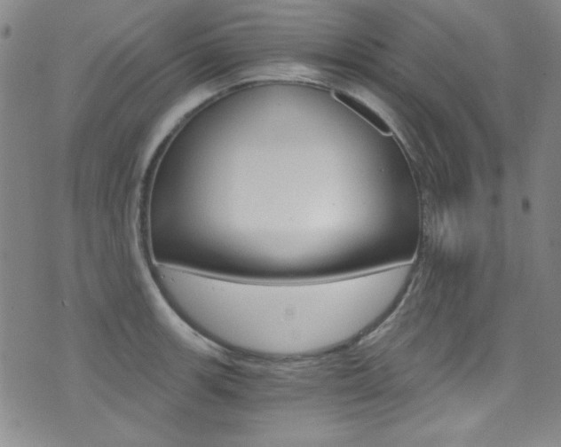 X0000072951139200607210925
