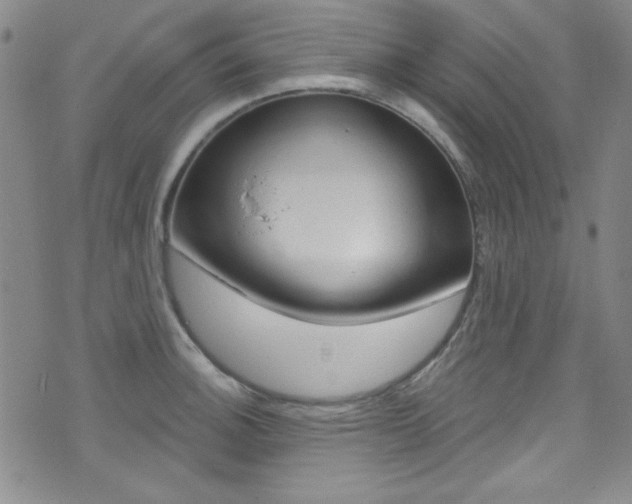 X0000072951140200607210926
