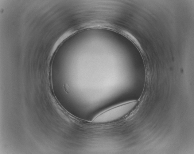 X0000072951146200607210926