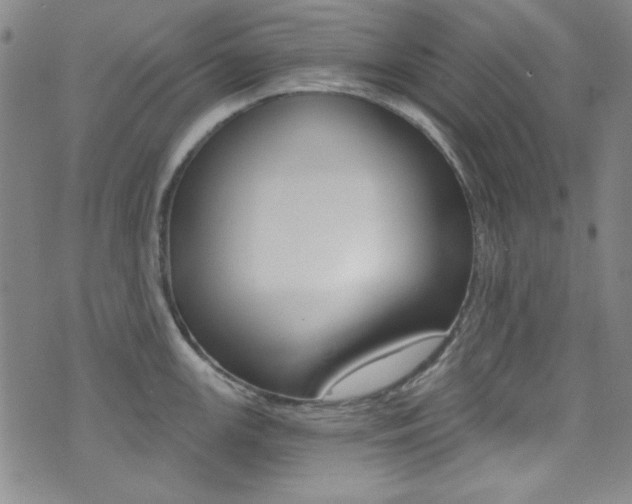 X0000072951147200607210926