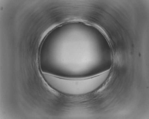 X0000072951149200607210926