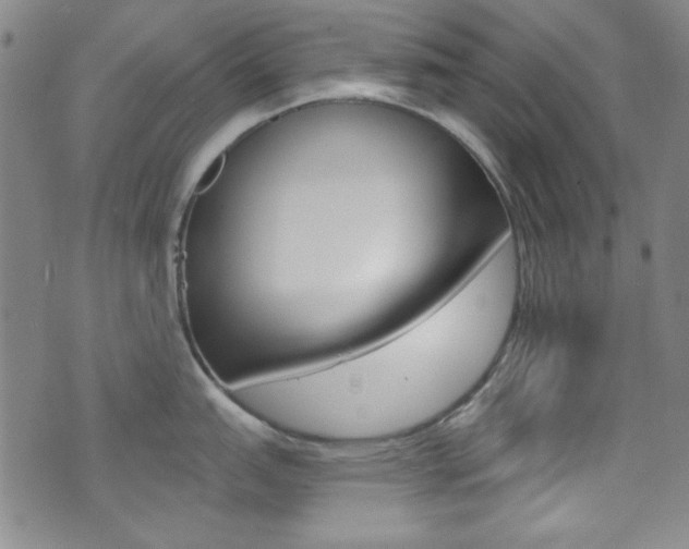 X0000072951151200607210926