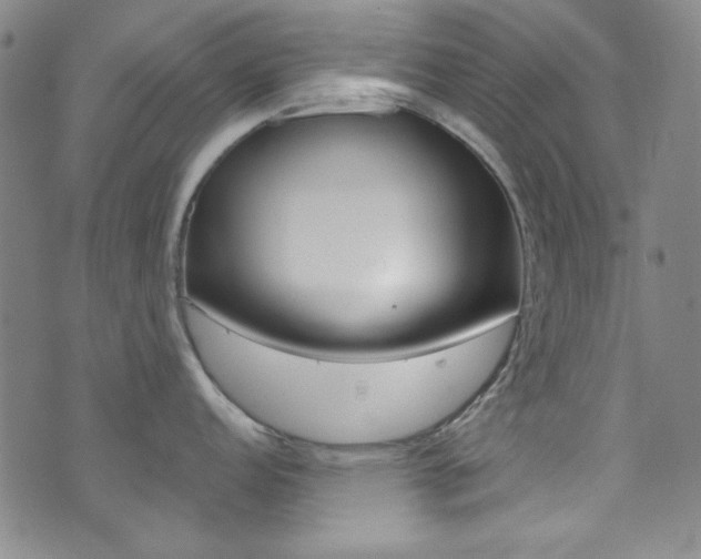 X0000072951152200607210926