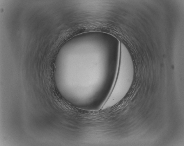 X0000072951153200607210925