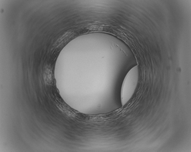 X0000072951154200607210925