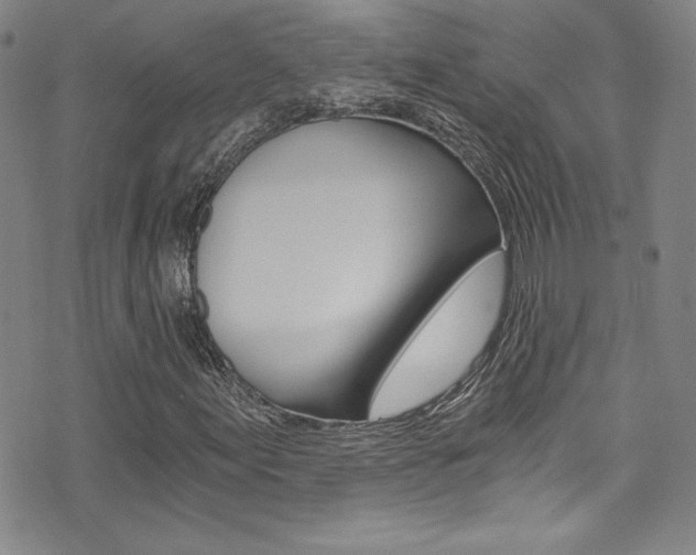 X0000072951155200607210925