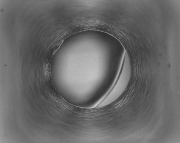 X0000072951156200607210925