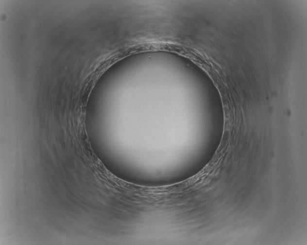 X0000072951157200607210925