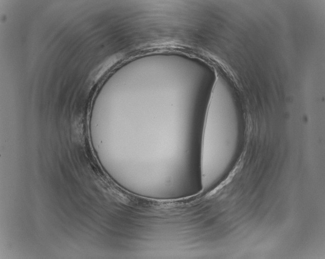 X0000072951162200607210925