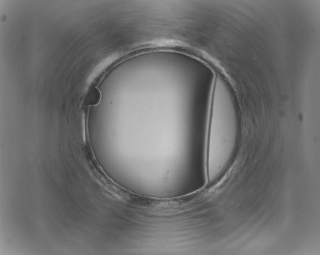 X0000072951171200607210925