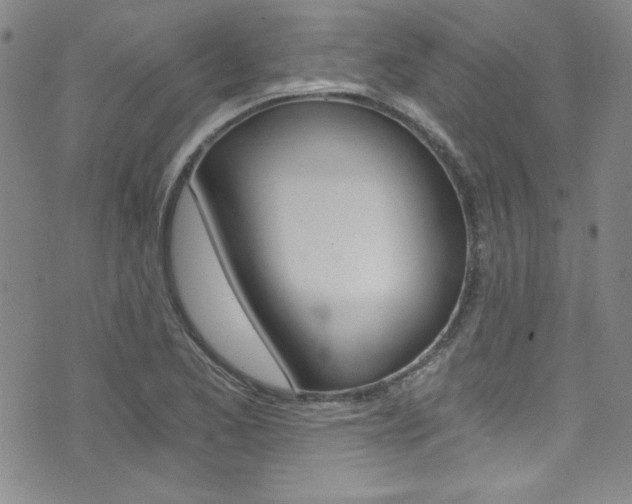 X0000072951173200607210925