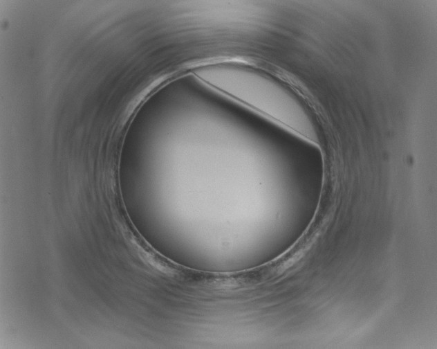 X0000072951177200607210925