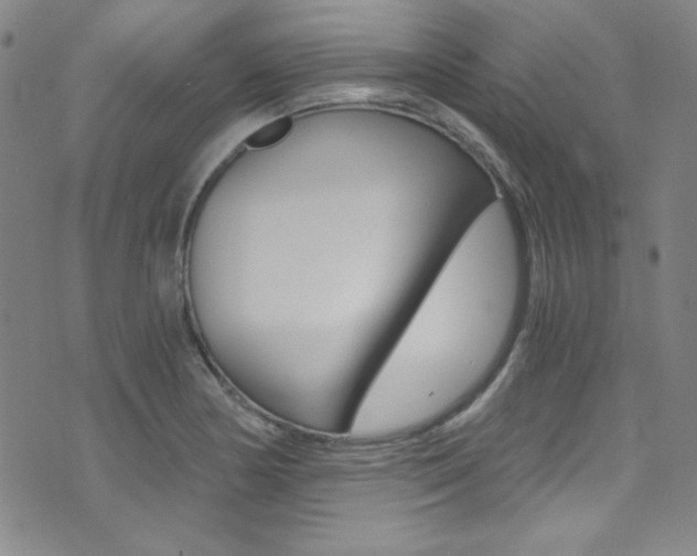 X0000072951178200607210925