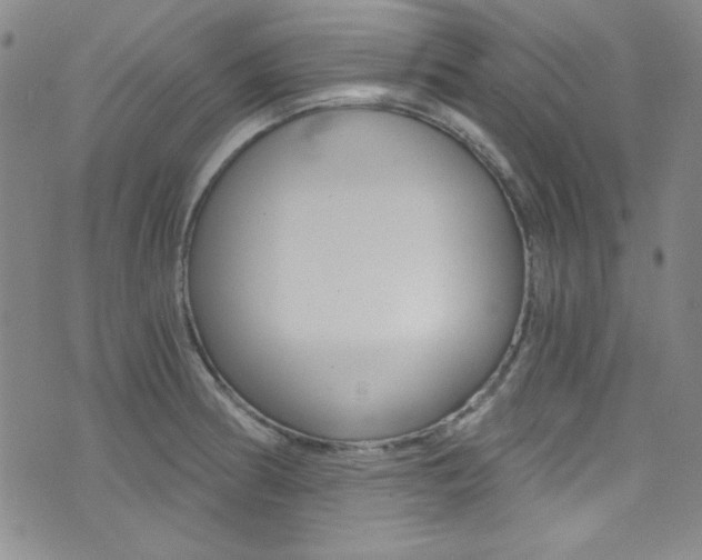 X0000072951186200607210924
