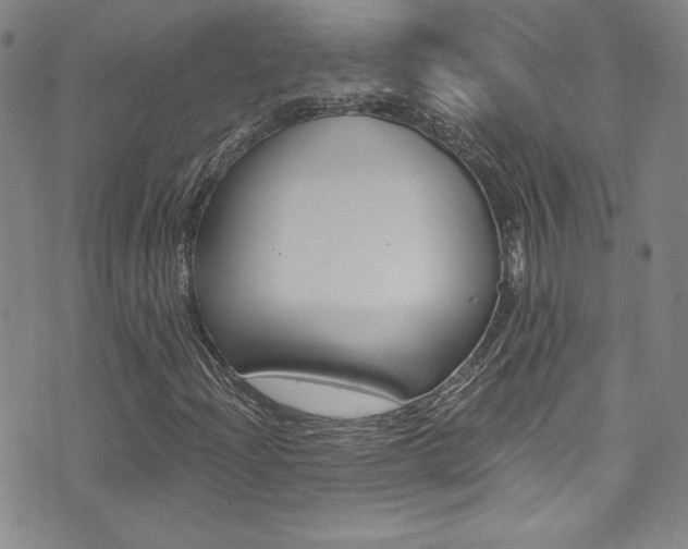 X0000072951204200607210923