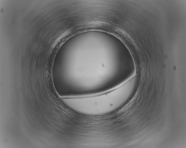 X0000072951210200607210924
