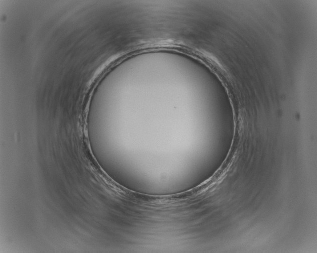 X0000072951212200607210924