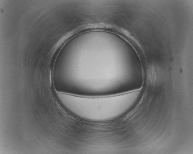 X0000072951221200607210924