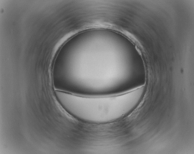X0000072951238200607210924