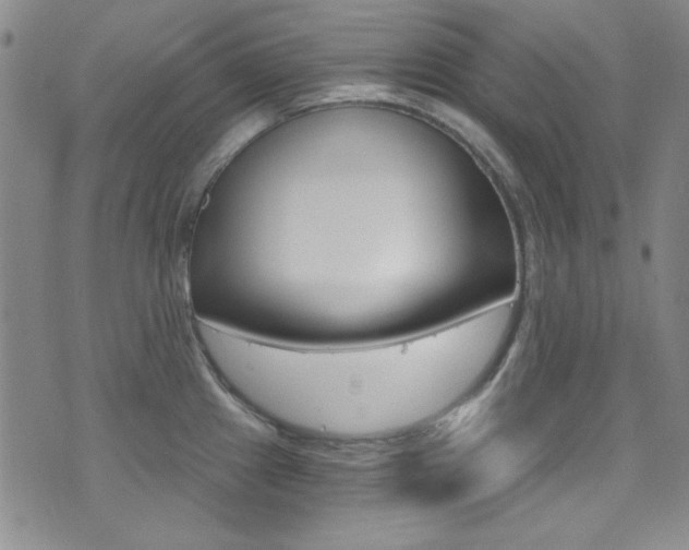 X0000072951241200607210924