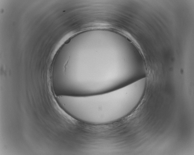 X0000072951243200607210924