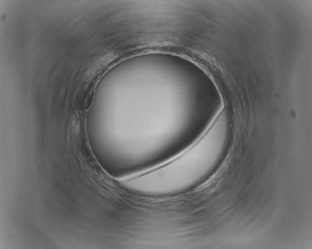 X0000072951257200607210923
