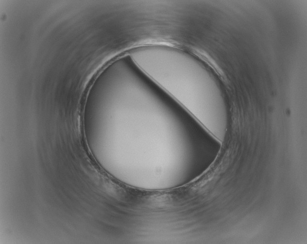 X0000072951268200607210923