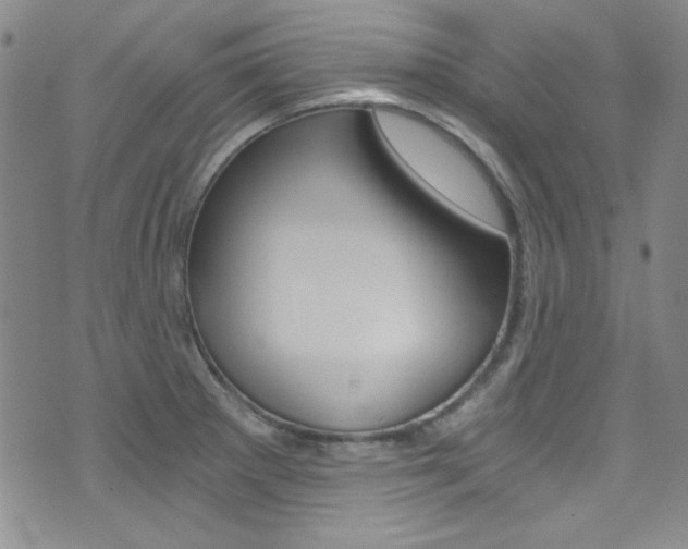 X0000072951281200607210923
