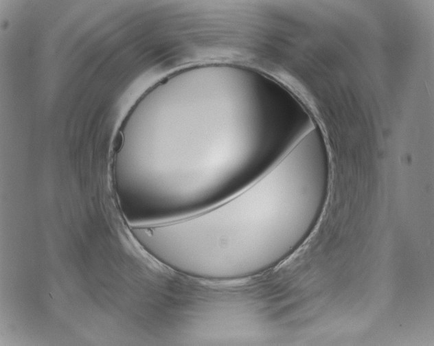 X0000072951296200607210923