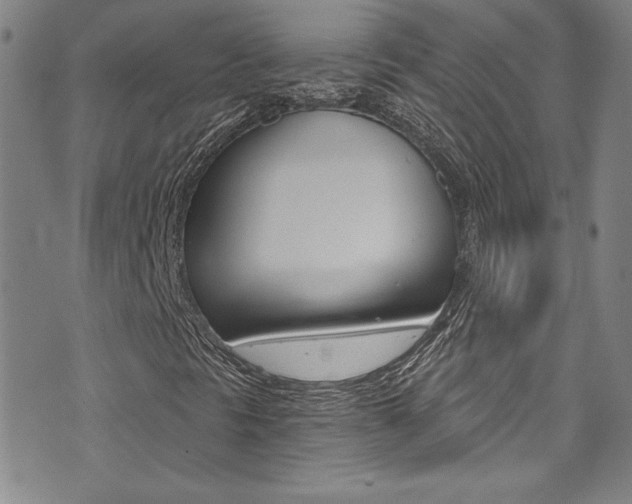 X0000072951297200607210922