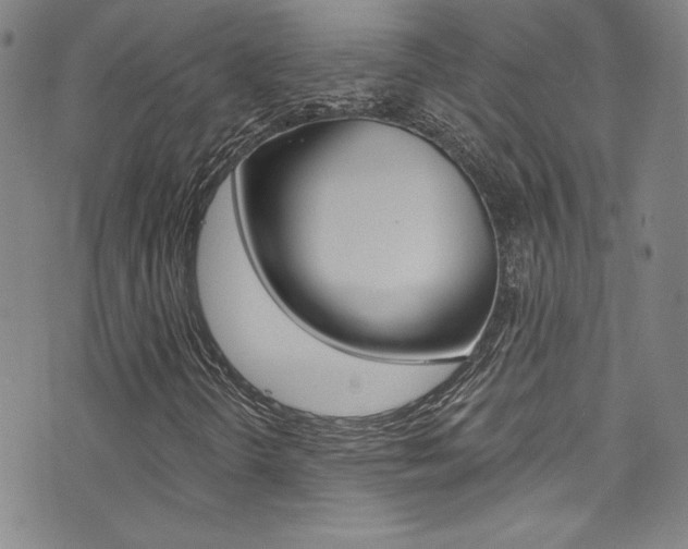 X0000072951298200607210922