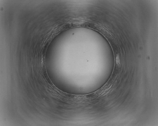 X0000072951299200607210922