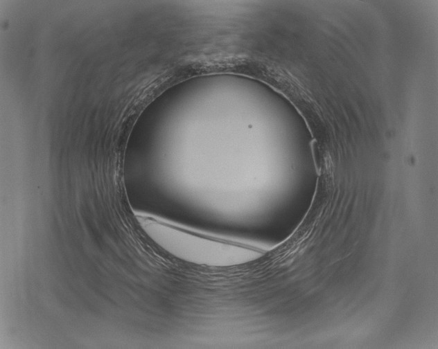 X0000072951300200607210922
