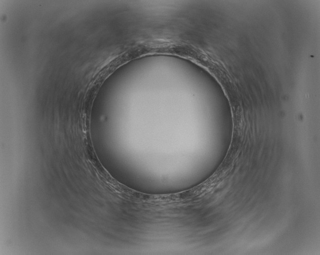 X0000072951301200607210922