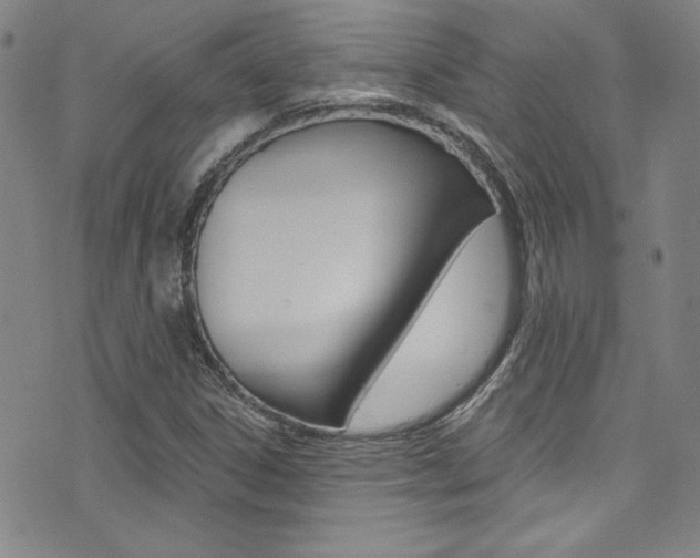 X0000072951306200607210922