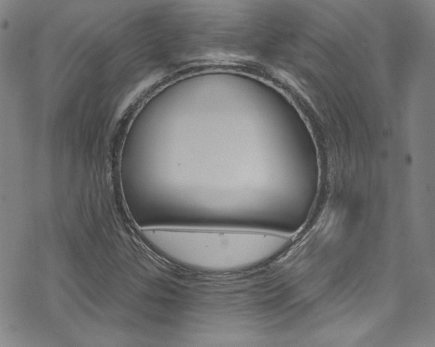 X0000072951307200607210922
