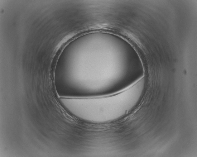 X0000072951308200607210922