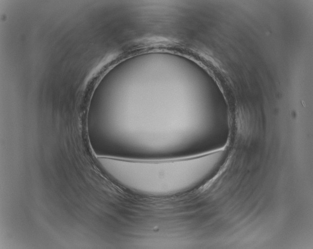 X0000072951309200607210922