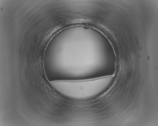 X0000072951313200607210922