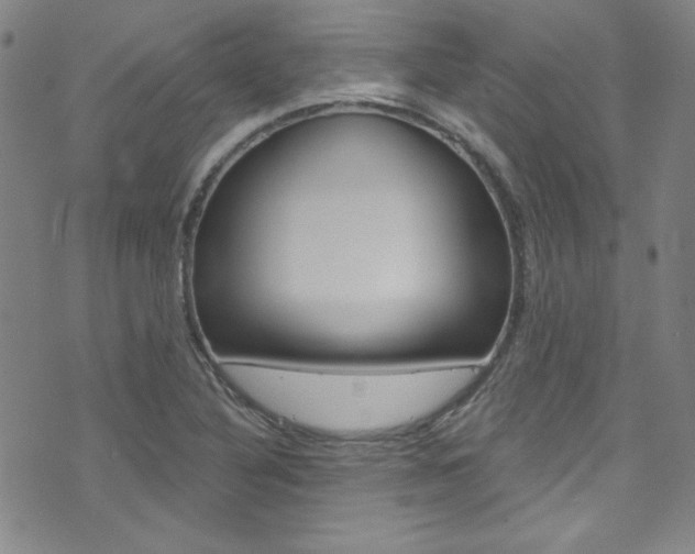 X0000072951316200607210922