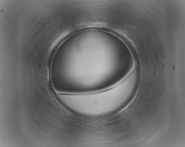 X0000072951317200607210922