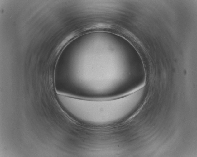 X0000072951321200607210922