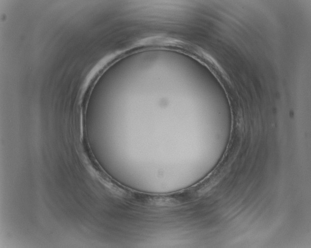 X0000072951323200607210922
