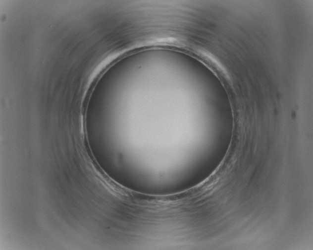X0000072951324200607210922