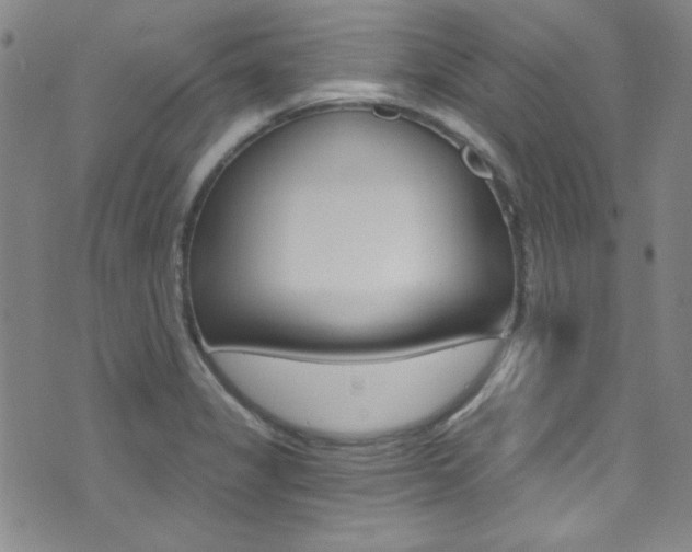 X0000072951325200607210922