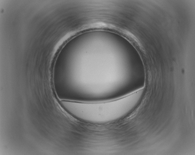 X0000072951326200607210922